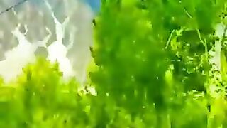 Paasu cones hunza