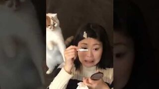SHORT - Funny animals compilation
