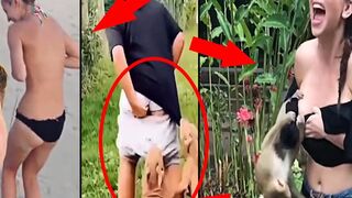 SHORT Animals Clips Compilation