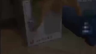 Funny Cats 5
