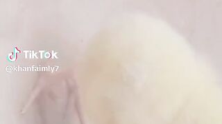 chick funny video????????????#foryou #foryoupageofficiall#comedyvideo #100k-twinsqueens