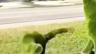 What a amazing video