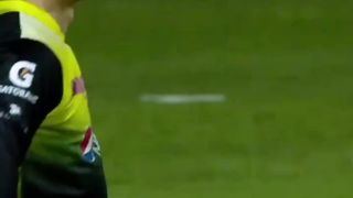 Amazing cricket video 2