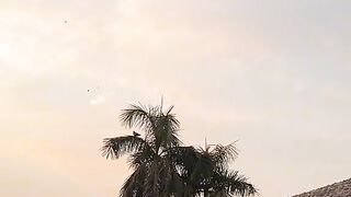 ???????? دل کے افسانے