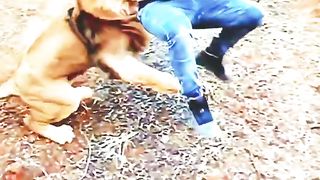 Animal videos 2