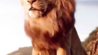 The lion King tik tok the super video