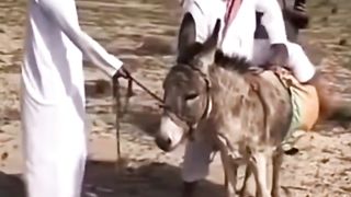 Funny video 525