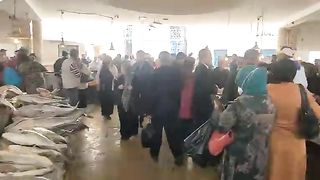 اجواء سوق الحوت باب الجبلي وانطلاق بيع الحوت المالح استعدادا للعيد الدلالة والبيع