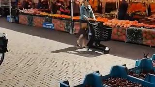 السوق الشعبي الجميل في هولندا ????????♥️