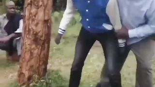 Comedy 28
