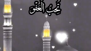 video 20