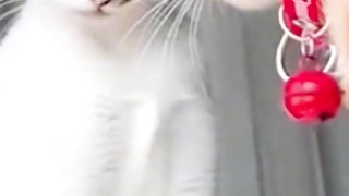 Funny video mmm