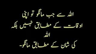 quotes channel 29