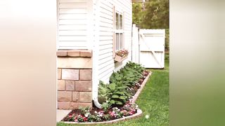 Beauty of house and garden