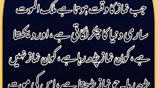Fayde ki baat