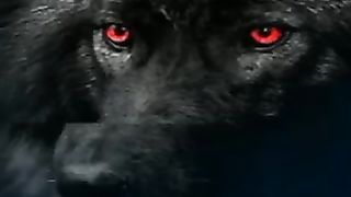 Wolf ???? howling ringtone/scary wolf howling sound ringtone