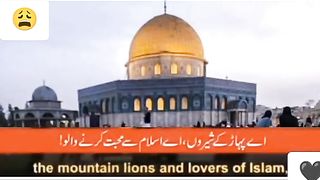 Help only not poor people but help need Palestine