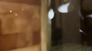 Funny cat 33
