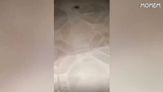 You laugh 0 times, you lose