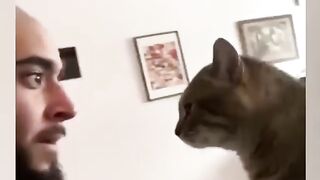 Funny cat 34