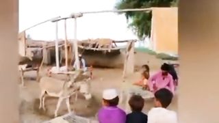 Funny moments only in Pakistan comedy | funny clip | Pakistan peoples funny scene