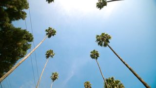 Hollywood 2