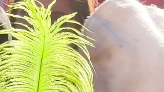 TikTok Viral Video ????