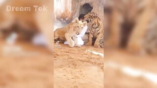 TikTok Dubai Humaid Albuqaish With His Pets Video