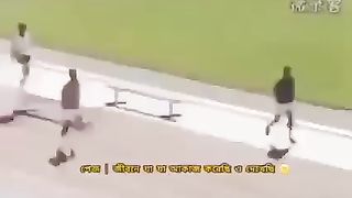 New funny video 11