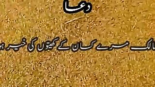 زعیم رشید : گندم کی بالیاں ہی وہ بیٹی کو دے سکے