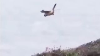 9 Minutes of Mind Blowing Moments Caught on Camera!