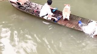 Omg……the boat is sinking
