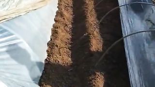 Amazing video 50