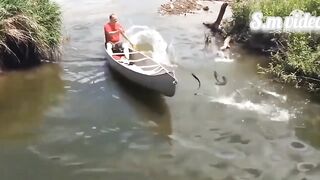 funny animals,funny animals life,funny animal videos,funny videos,funny video,funny dog videos,