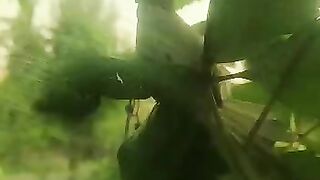 Beautiful morning with nature