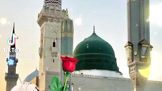 Madina 12