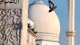 #mashalla#nice#video