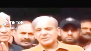 pagal vazeer e azam