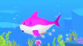 Baby shark dododo