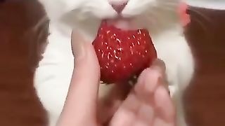 it is very beautiful