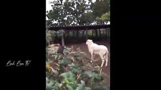 Funny Moments Of The Year Compilation 2