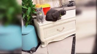 Cute ????????and Funny