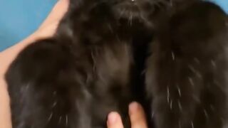 would you buy this animal?