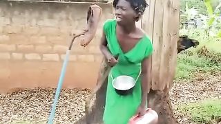 Funny video 535