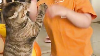 Funny video 539