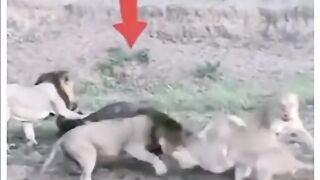 Jub Tak Allah Pak Ki Razza Shamil Na Ho