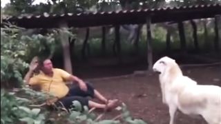 Funniest Moments of the Year Compilation ???????????? 5