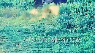 #best#top#horses#riding#2023#on#pakistan#videos#videos of #horse rider was the victim of an accident