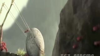 BLACK ANTS V/S RED ANTS