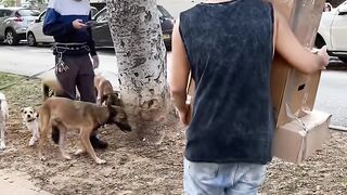 Funny videos! 2